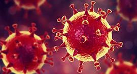 Charla Coronavirus